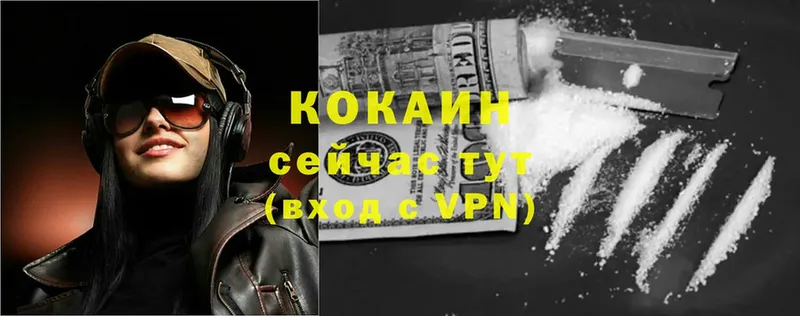 где можно купить наркотик  Рузаевка  Cocaine FishScale 